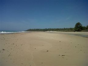 Morrungulo