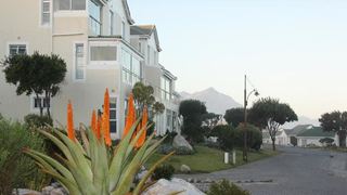 The Potting Shed Self Catering | Self-catering Westcliff (Hermanus)
