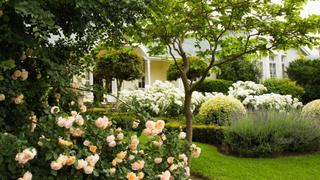 Somerset House | Accommodation Somerset East