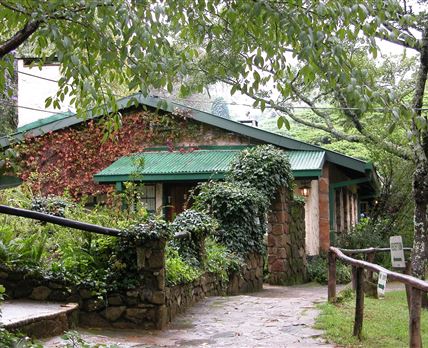 Pine Tree Inn