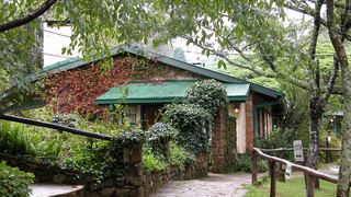 Pine Tree Inn | Nyanga Accommodation