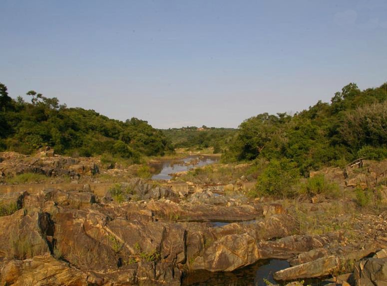 Bhuba Bush Lodge