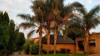 Citrus Lane Guesthouse | Olivedale Self-catering
