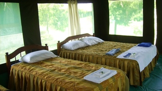 Kichakani Mara Camp | Accommodation Maasai Mara National Reserve