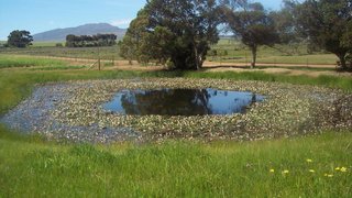 Grootvlei Cottage | Accommodation Caledon