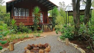 Woodland Gardens | Africa Specials