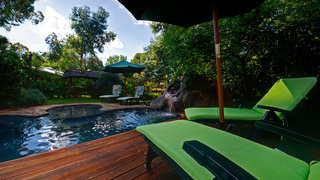 Woodland Gardens | Africa Specials