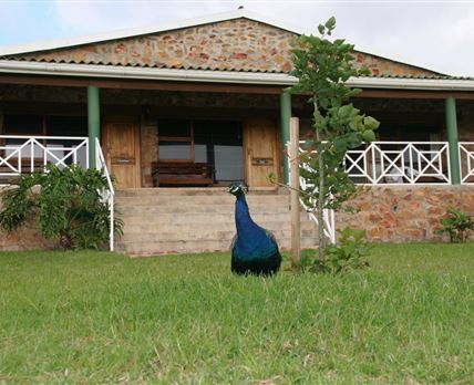 Mentorskraal Country Estate