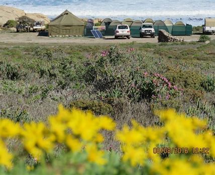 Namaqua Silver Sands