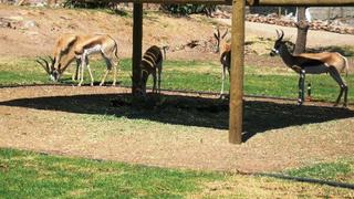 Vioolsdrift Lodge | Accommodation Vioolsdrift