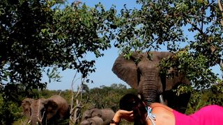 Baobab Ridge Greater Kruger | Timbavati Reserve Accommodation