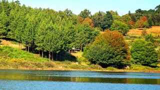 Stanford Lake Lodge | Accommodation Haenertsburg