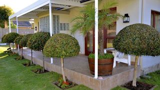Beautiful Abalone | Self-catering Westcliff (Hermanus)