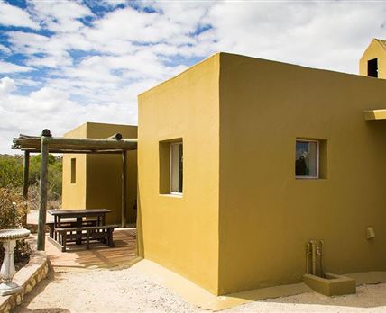 Duinepos Chalets