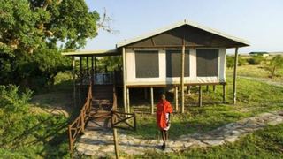 Tipilikwani Mara Camp | Maasai Mara Accommodation