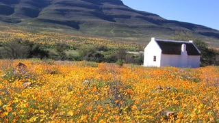 Enjo Nature Farm | Clanwilliam Accommodation