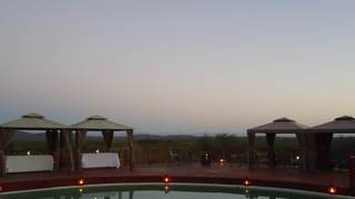 Tokwe Safaris | Mopane Accommodation