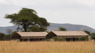 Serengeti Kati Kati Tented Camp | Serengeti National Park Accommodation