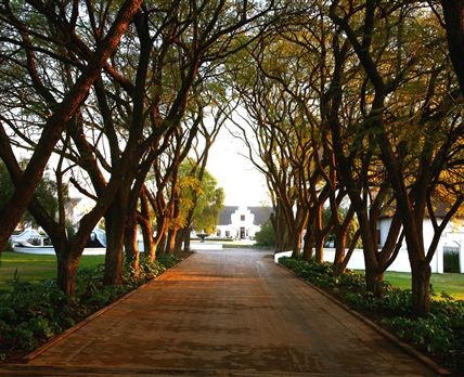Kievits Kroon