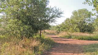Nokeng Eco Lodge | Self-catering Rust de Winter