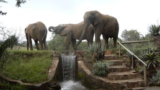 Glen Afric Country Lodge | Broederstroom Accommodation