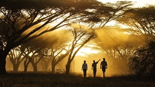 Joy's Camp | Shaba Game Reserve Accommodation