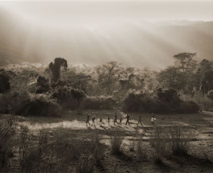 Kitich Camp