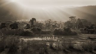 Kitich Camp | Wamba Accommodation