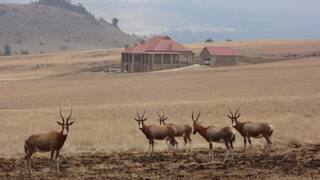 Dullstroom Country Estate's Stone Castle | Dullstroom Accommodation