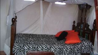 Sultan Studio Apartment | Accommodation Lamu Archipelago