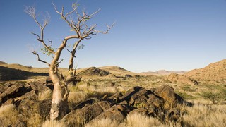 Kobo Kobo Hills | Karibib Area Lodges