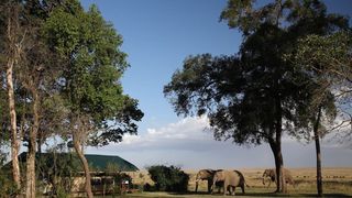 Governors Camp | Accommodation Maasai Mara National Reserve