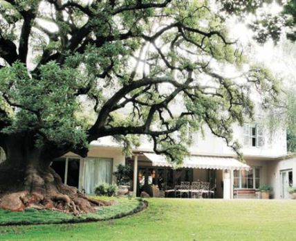 Hoëveld House