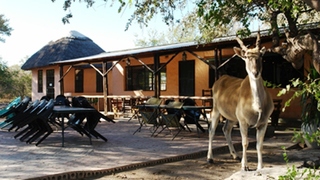 Thakadu Bush Camp | Ghanzi Accommodation