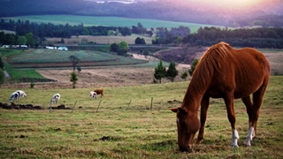 Midlands Inverness Cottages | Balgowan Self-catering