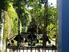 Nooitgedacht Guesthouse | Rondebosch Accommodation