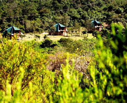 Mutarazi Falls Cottages