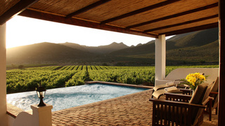 Orange Grove Farm | Africa Specials