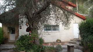 Ilana's Jerusalem Apartments | Kiryat Shmuel Self-catering