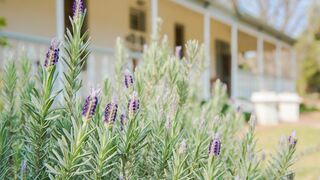 Esperance Farmstay - Manor House | Accommodation Worcester