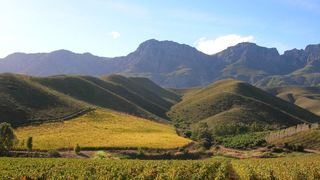 Olyfenbosch Cottages | Accommodation Robertson