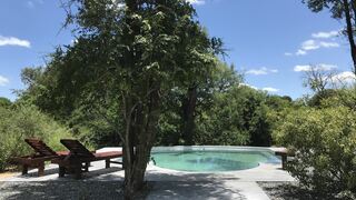 Leadwood Lodge | Accommodation Hoedspruit
