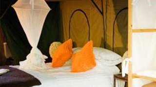 Elgin Hills Luxury Tented Camp | Elgin Accommodation