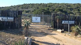 Kudu Ridge Game Ranch | Addo Specials