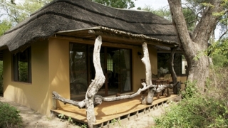 Royal Tree Lodge | Maun Lodges