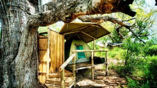Oddballs' | Lodges Chiefs Island