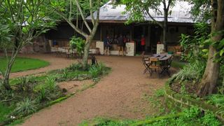 Hairy Lemon Island | Nazigo Accommodation