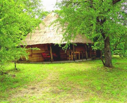 McBride's Camp