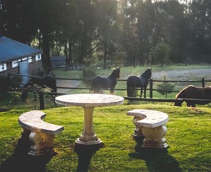 The Knoll Guest Farm