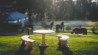 The Knoll Guest Farm | Accommodation Hilton